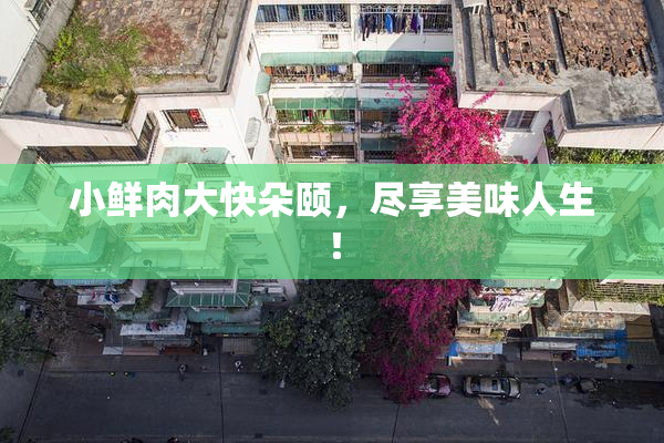 小鲜肉大快朵颐，尽享美味人生！