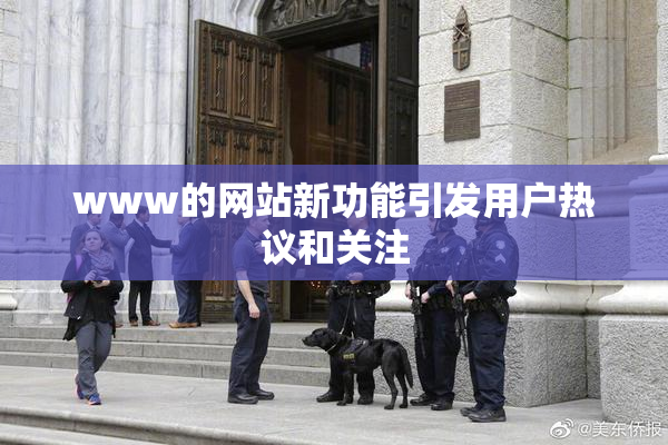 www的网站新功能引发用户热议和关注