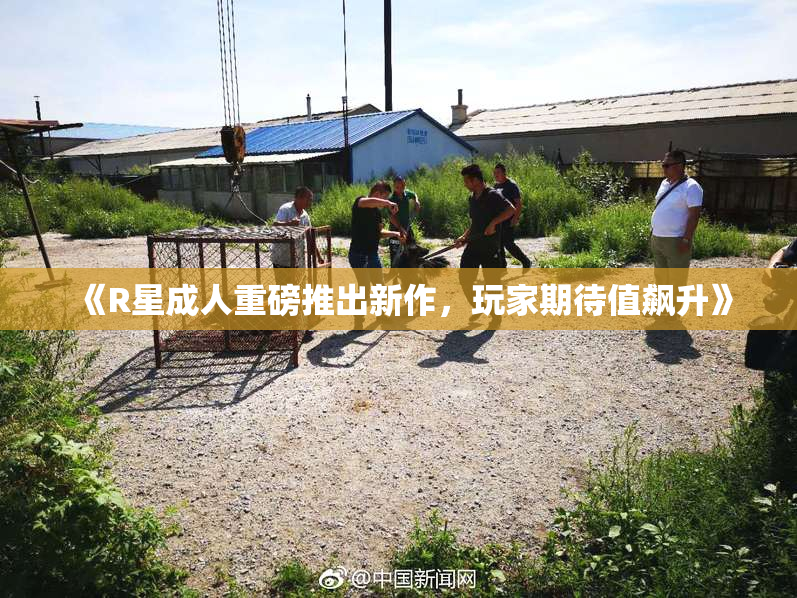 《R星成人重磅推出新作，玩家期待值飙升》