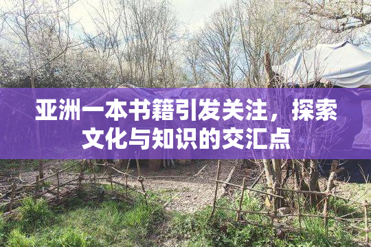 亚洲一本书籍引发关注，探索文化与知识的交汇点