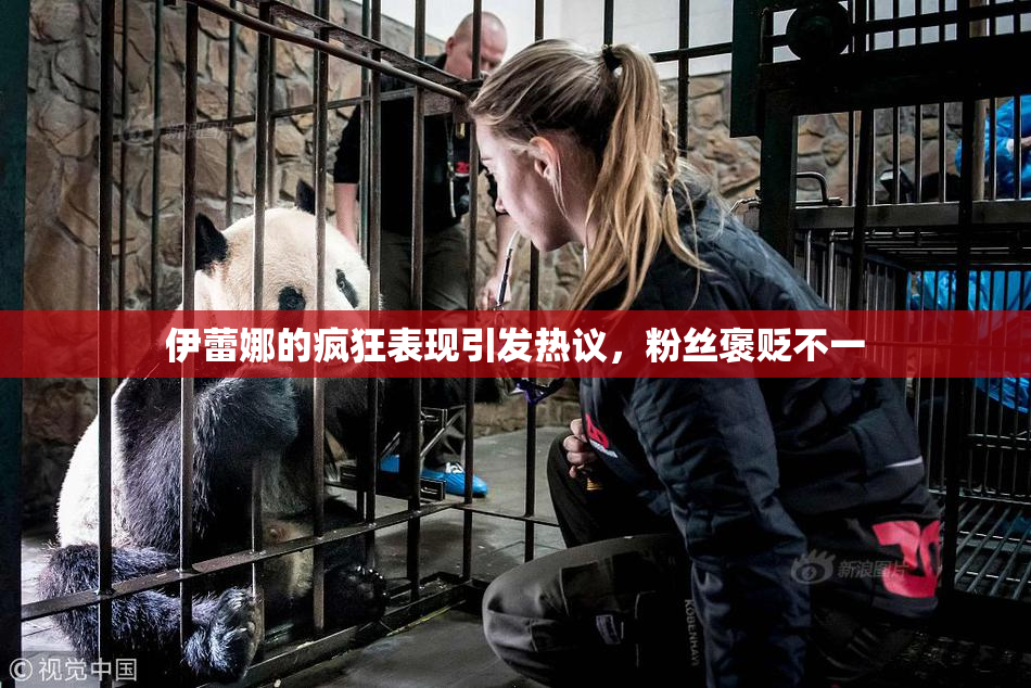 伊蕾娜的疯狂表现引发热议，粉丝褒贬不一