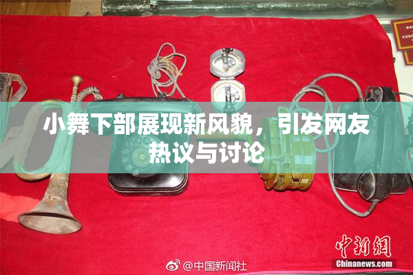 小舞下部展现新风貌，引发网友热议与讨论
