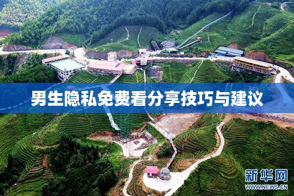 男生隐私免费看分享技巧与建议