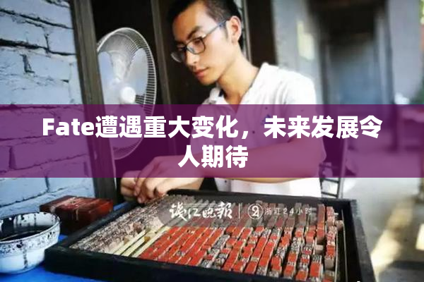 Fate遭遇重大变化，未来发展令人期待