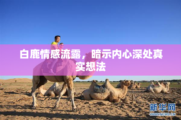 白鹿情感流露，暗示内心深处真实想法