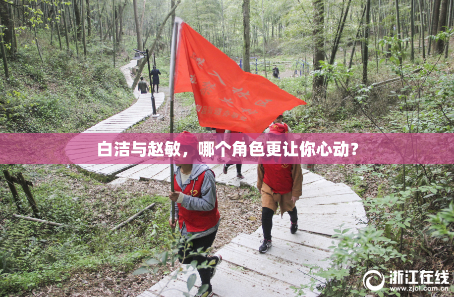 白洁与赵敏，哪个角色更让你心动？