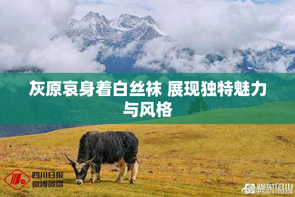 灰原哀身着白丝袜 展现独特魅力与风格