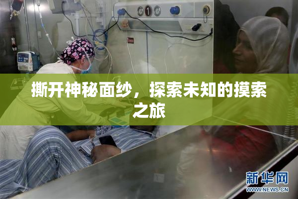 撕开神秘面纱，探索未知的摸索之旅