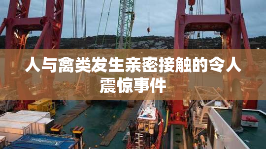 人与禽类发生亲密接触的令人震惊事件
