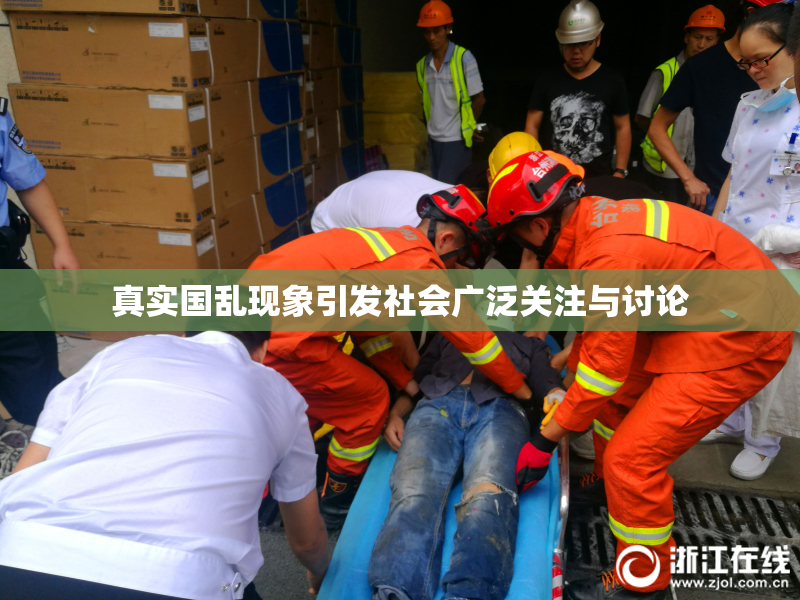 真实国乱现象引发社会广泛关注与讨论