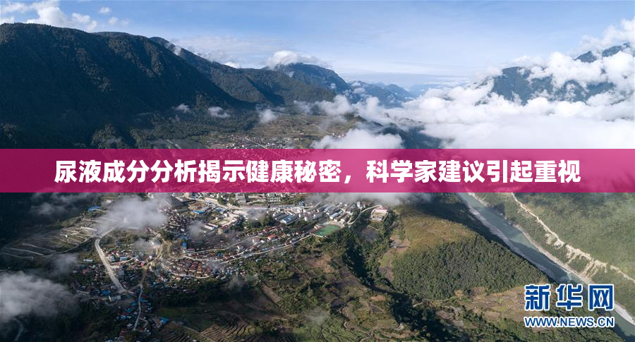 尿液成分分析揭示健康秘密，科学家建议引起重视