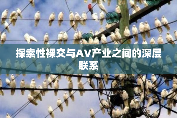 探索性裸交与AV产业之间的深层联系