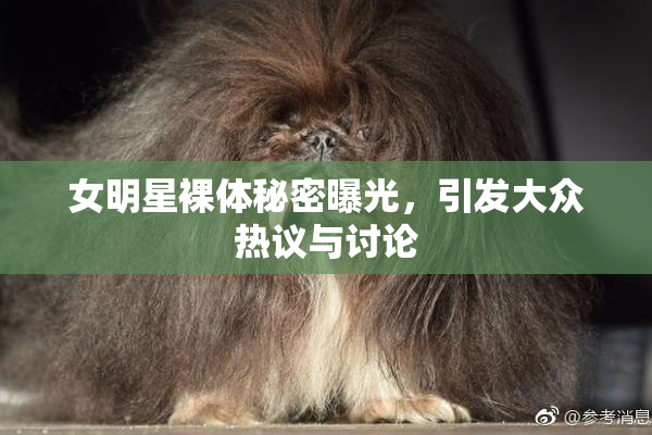 女明星裸体秘密曝光，引发大众热议与讨论