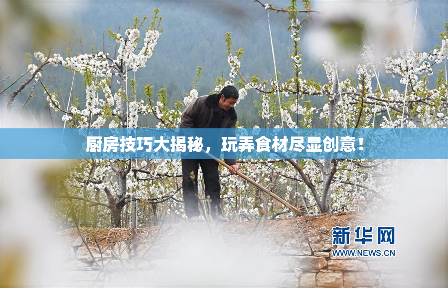 厨房技巧大揭秘，玩弄食材尽显创意！