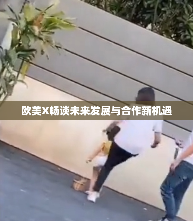 欧美X畅谈未来发展与合作新机遇