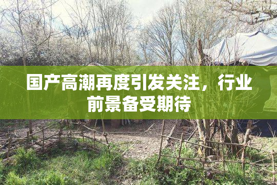 国产高潮再度引发关注，行业前景备受期待