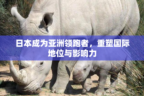 日本成为亚洲领跑者，重塑国际地位与影响力