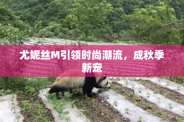 尤妮丝M引领时尚潮流，成秋季新宠