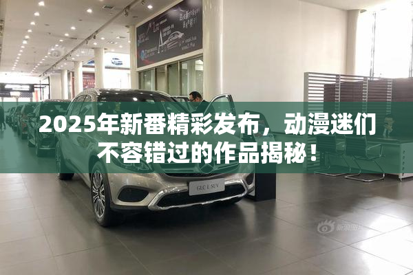 2025年新番精彩发布，动漫迷们不容错过的作品揭秘！