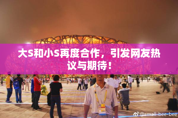 大S和小S再度合作，引发网友热议与期待！