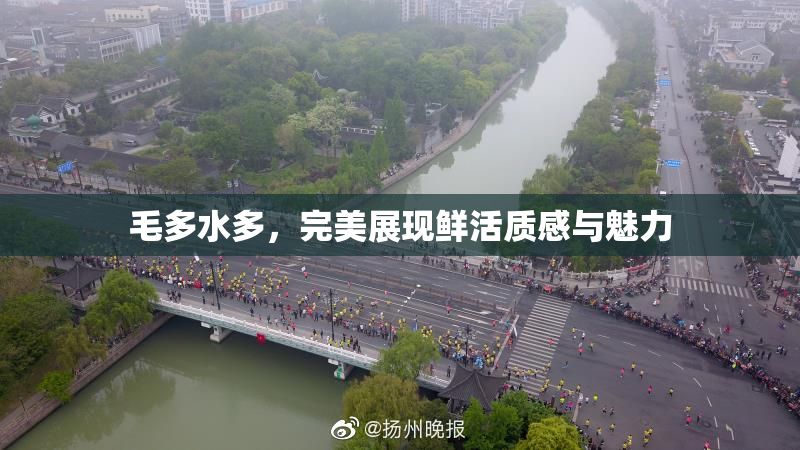 毛多水多，完美展现鲜活质感与魅力