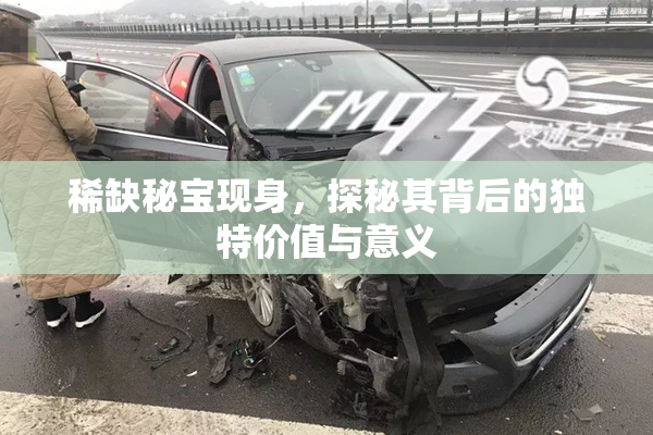 稀缺秘宝现身，探秘其背后的独特价值与意义