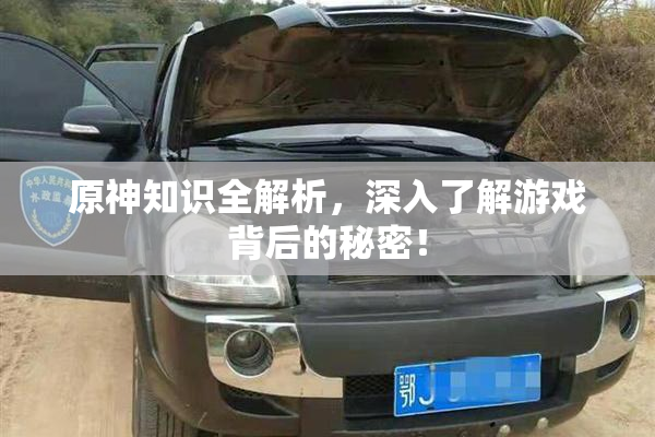 原神知识全解析，深入了解游戏背后的秘密！