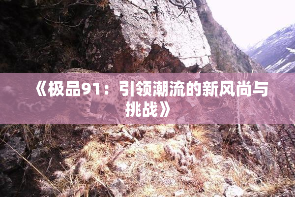 《极品91：引领潮流的新风尚与挑战》