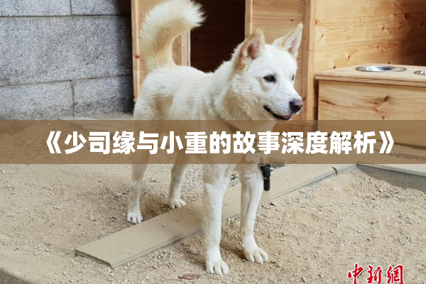 《少司缘与小重的故事深度解析》