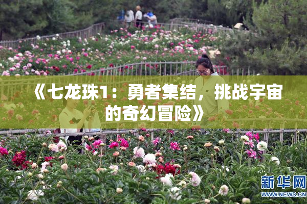 《七龙珠1：勇者集结，挑战宇宙的奇幻冒险》