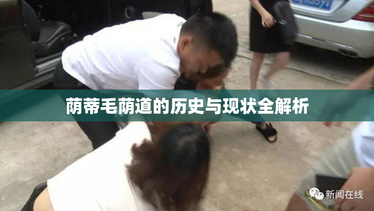 荫蒂毛荫道的历史与现状全解析