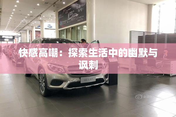 快感高嘲：探索生活中的幽默与讽刺