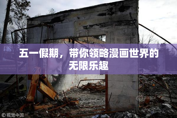 五一假期，带你领略漫画世界的无限乐趣