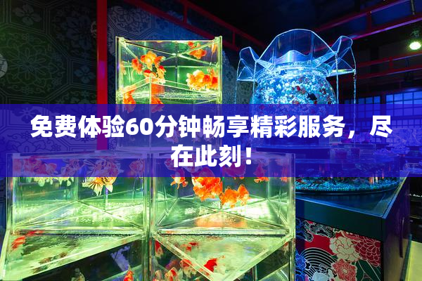 免费体验60分钟畅享精彩服务，尽在此刻！