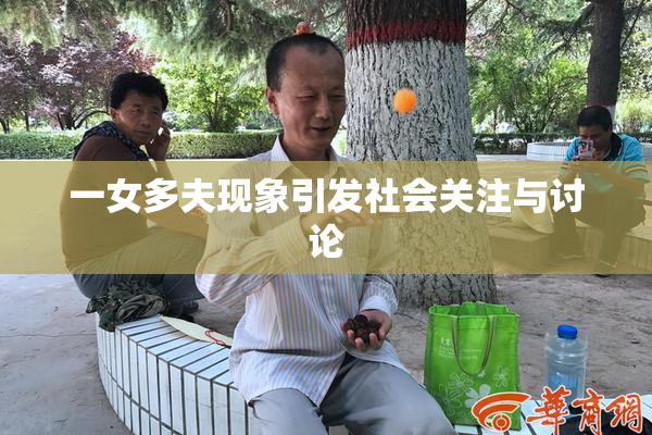 一女多夫现象引发社会关注与讨论