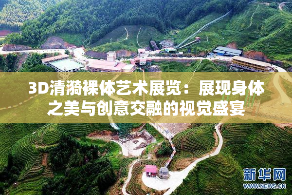 3D清漪裸体艺术展览：展现身体之美与创意交融的视觉盛宴