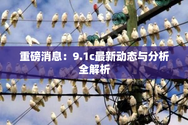 重磅消息：9.1c最新动态与分析全解析