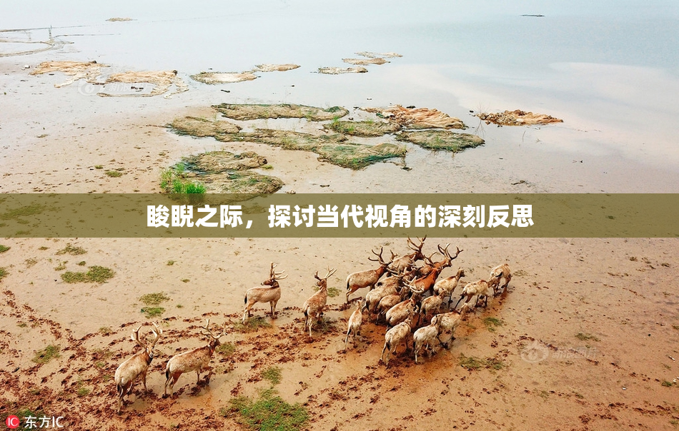睃睨之际，探讨当代视角的深刻反思