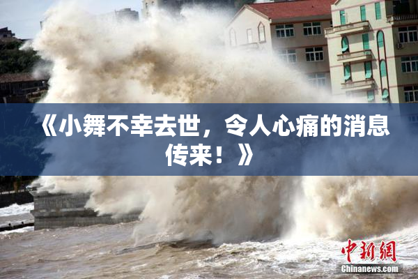 《小舞不幸去世，令人心痛的消息传来！》