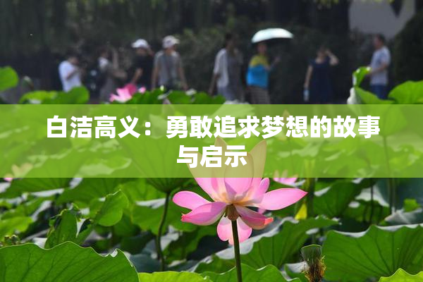 白洁高义：勇敢追求梦想的故事与启示