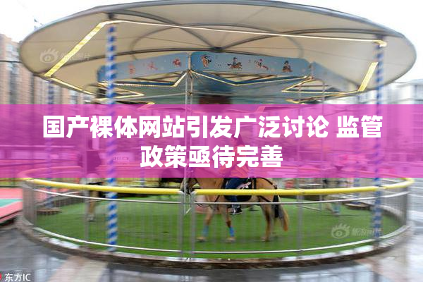 国产裸体网站引发广泛讨论 监管政策亟待完善