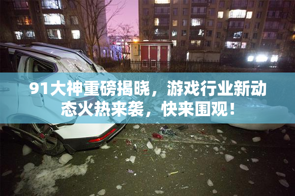 91大神重磅揭晓，游戏行业新动态火热来袭，快来围观！