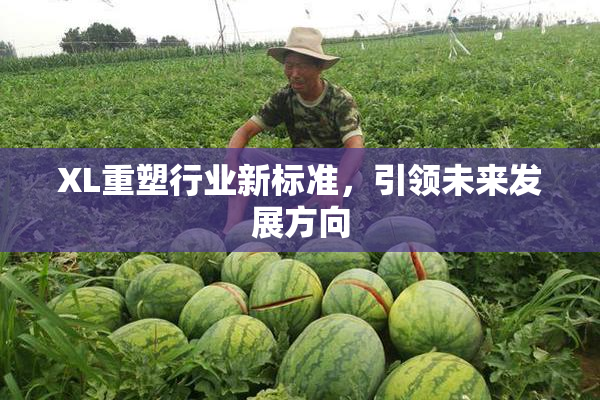 XL重塑行业新标准，引领未来发展方向