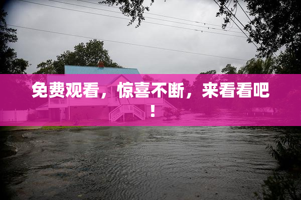 免费观看，惊喜不断，来看看吧！