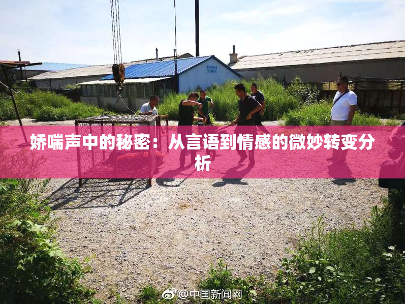 娇喘声中的秘密：从言语到情感的微妙转变分析