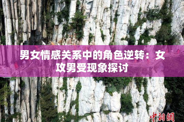 男女情感关系中的角色逆转：女攻男受现象探讨