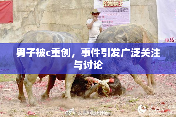 男子被c重创，事件引发广泛关注与讨论