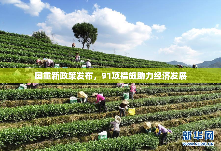 国重新政策发布，91项措施助力经济发展