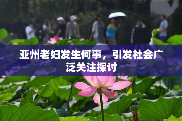 亚州老妇发生何事，引发社会广泛关注探讨