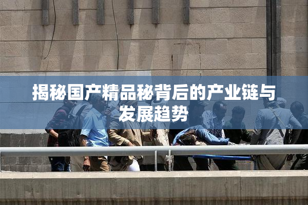 揭秘国产精品秘背后的产业链与发展趋势